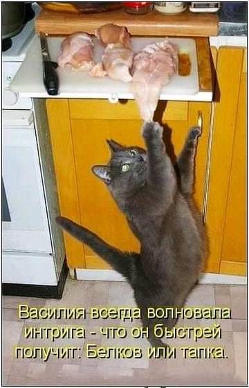 https://upforme.ru/uploads/001a/b7/a9/3/t970827.jpg