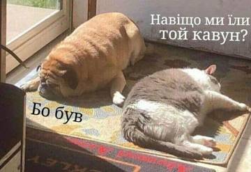 https://upforme.ru/uploads/001a/b7/a9/8/t119870.jpg