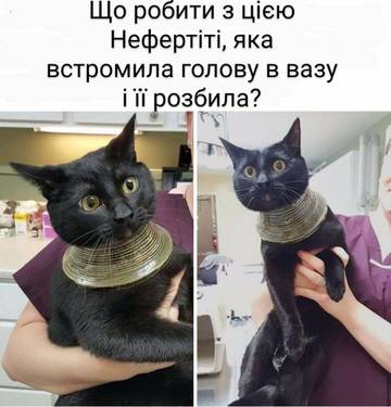 https://upforme.ru/uploads/001a/b7/a9/8/t188155.jpg
