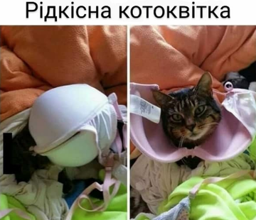 https://upforme.ru/uploads/001a/b7/a9/8/t606507.png