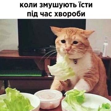 https://upforme.ru/uploads/001a/b7/a9/8/t631431.jpg