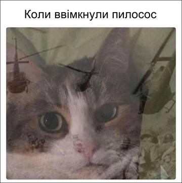 https://upforme.ru/uploads/001a/b7/a9/8/t697642.jpg