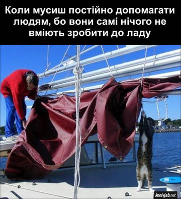 https://upforme.ru/uploads/001a/b7/a9/8/t714733.jpg