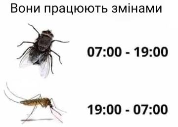 https://upforme.ru/uploads/001a/b7/a9/8/t723213.jpg