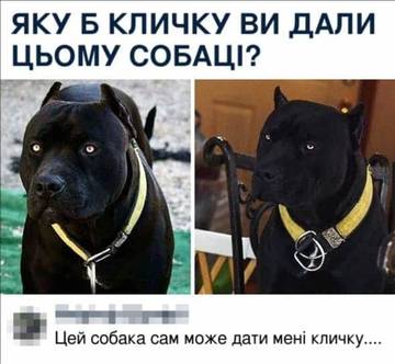 https://upforme.ru/uploads/001a/b7/a9/8/t921601.jpg