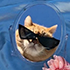 https://upforme.ru/uploads/001a/b7/b5/5/232566.png