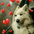 https://upforme.ru/uploads/001a/b7/b5/5/404037.png