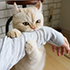 https://upforme.ru/uploads/001a/b7/b5/5/971801.png