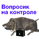 https://upforme.ru/uploads/001a/b7/b5/5/984039.png