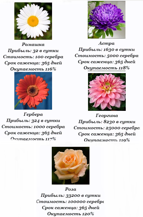 https://upforme.ru/uploads/001a/b8/7e/4/553988.png