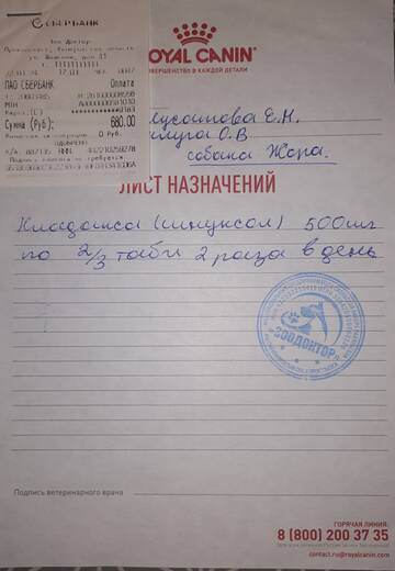 https://upforme.ru/uploads/001a/b9/46/29/t552759.jpg