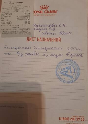 https://upforme.ru/uploads/001a/b9/46/29/t799175.jpg