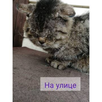 https://upforme.ru/uploads/001a/b9/46/4/t33339.jpg