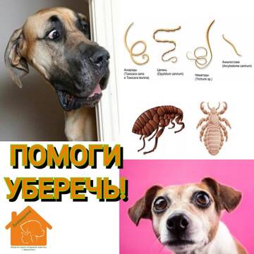 https://upforme.ru/uploads/001a/b9/46/4/t34249.jpg