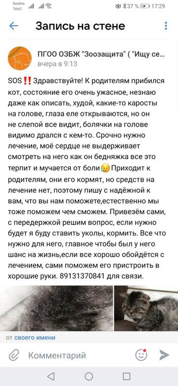 https://upforme.ru/uploads/001a/b9/46/4/t357347.jpg