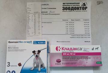 https://upforme.ru/uploads/001a/b9/46/4/t791528.jpg