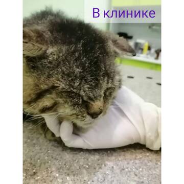 https://upforme.ru/uploads/001a/b9/46/4/t850392.jpg