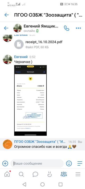 https://upforme.ru/uploads/001a/b9/46/4/t979553.jpg