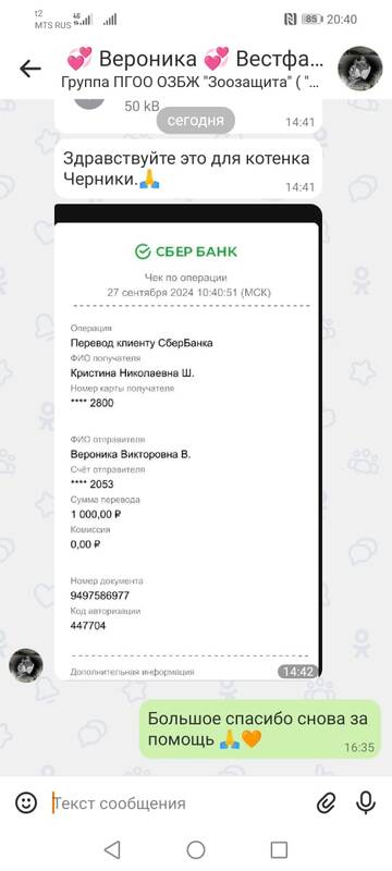 https://upforme.ru/uploads/001a/b9/46/4/t991010.jpg