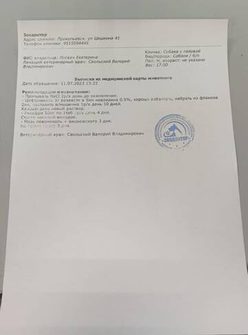 https://upforme.ru/uploads/001a/b9/46/5/t416277.jpg