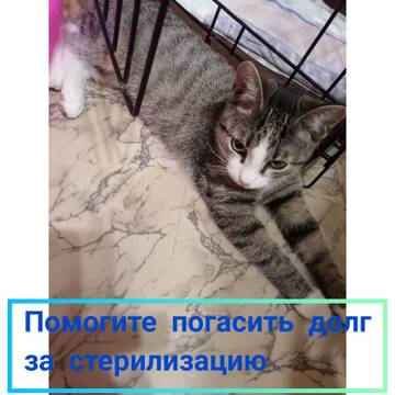 https://upforme.ru/uploads/001a/b9/46/5/t721675.jpg