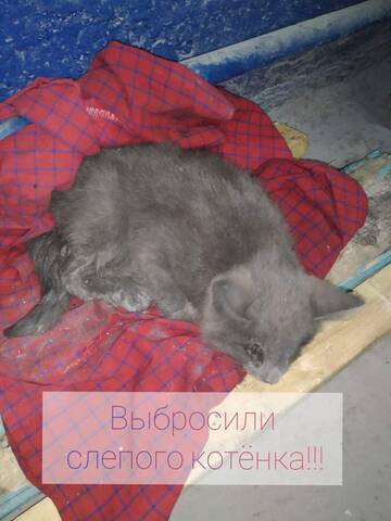 https://upforme.ru/uploads/001a/b9/46/5/t773291.jpg