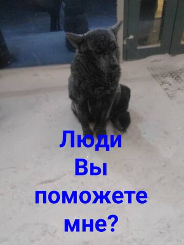 https://upforme.ru/uploads/001a/b9/46/7/t16586.jpg