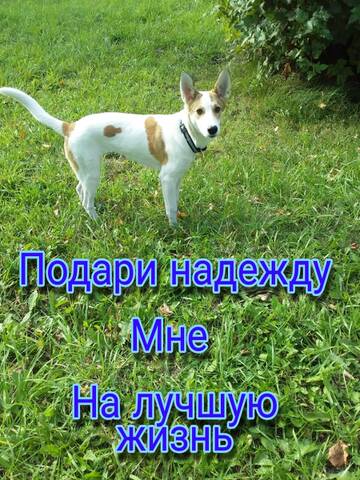 https://upforme.ru/uploads/001a/b9/46/7/t386754.jpg