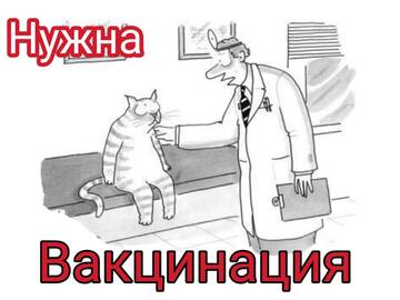 https://upforme.ru/uploads/001a/b9/46/7/t470512.jpg