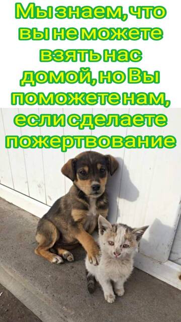 https://upforme.ru/uploads/001a/b9/46/7/t694404.jpg