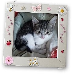 https://upforme.ru/uploads/001a/b9/46/7/t724034.jpg