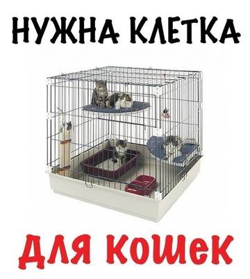 https://upforme.ru/uploads/001a/b9/46/8/t234812.jpg
