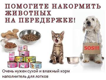https://upforme.ru/uploads/001a/b9/46/8/t801328.jpg