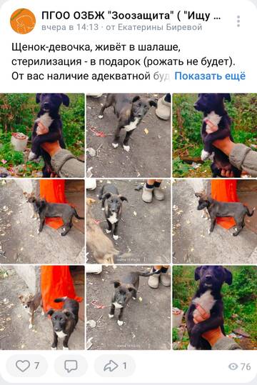 https://upforme.ru/uploads/001a/b9/46/9/t180712.jpg