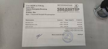 https://upforme.ru/uploads/001a/b9/46/9/t528422.jpg