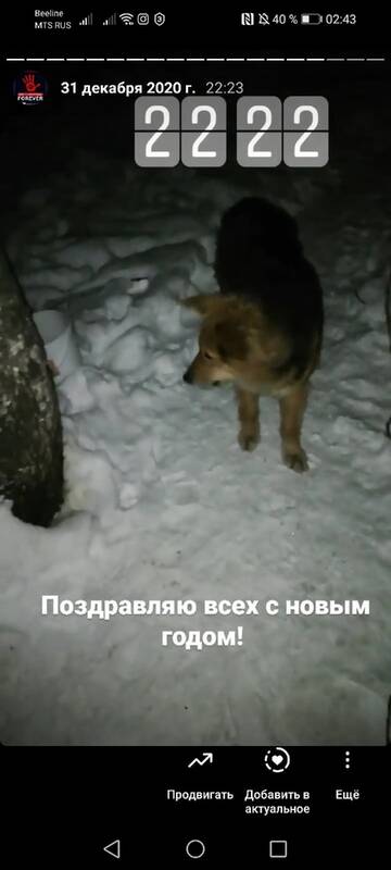 https://upforme.ru/uploads/001a/b9/46/9/t675060.jpg
