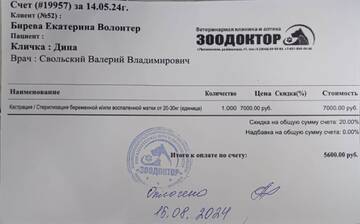 https://upforme.ru/uploads/001a/b9/46/9/t962794.jpg