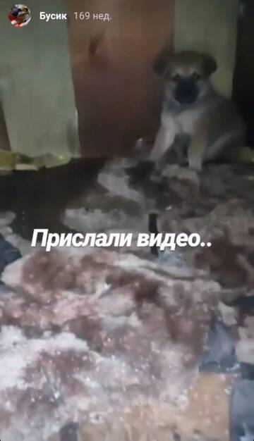 https://upforme.ru/uploads/001a/b9/46/9/t964838.jpg