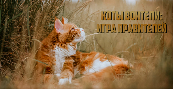 https://upforme.ru/uploads/001a/b9/7b/147/395884.jpg