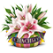 https://upforme.ru/uploads/001a/bb/8e/2/437906.png