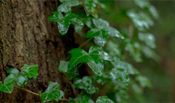 https://upforme.ru/uploads/001a/bd/ab/2/200661.gif