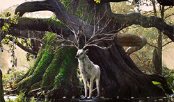 https://upforme.ru/uploads/001a/bd/ab/2/527472.gif