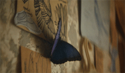 https://upforme.ru/uploads/001a/bd/ab/2/781807.gif