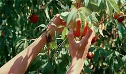 https://upforme.ru/uploads/001a/bd/ab/2/837230.gif