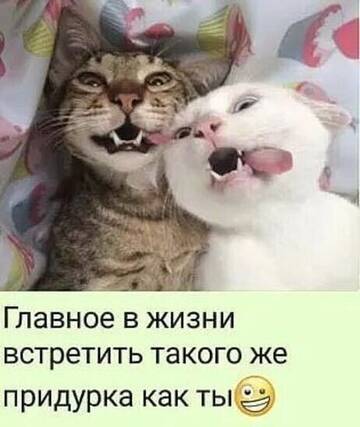 https://upforme.ru/uploads/001a/be/49/17/t253967.jpg