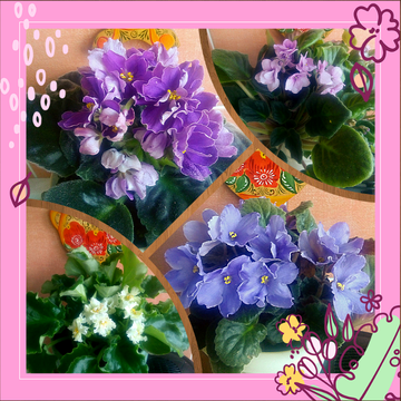 https://upforme.ru/uploads/001a/be/49/25/t774738.png