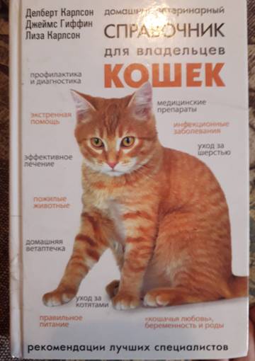 https://upforme.ru/uploads/001a/be/49/34/t389672.jpg