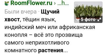https://upforme.ru/uploads/001a/be/49/34/t463062.jpg