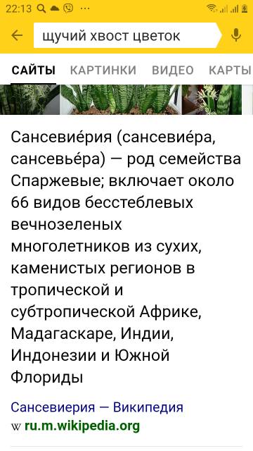 https://upforme.ru/uploads/001a/be/49/34/t535794.jpg