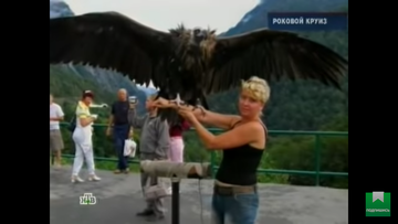 https://upforme.ru/uploads/001a/be/49/7/t443879.png